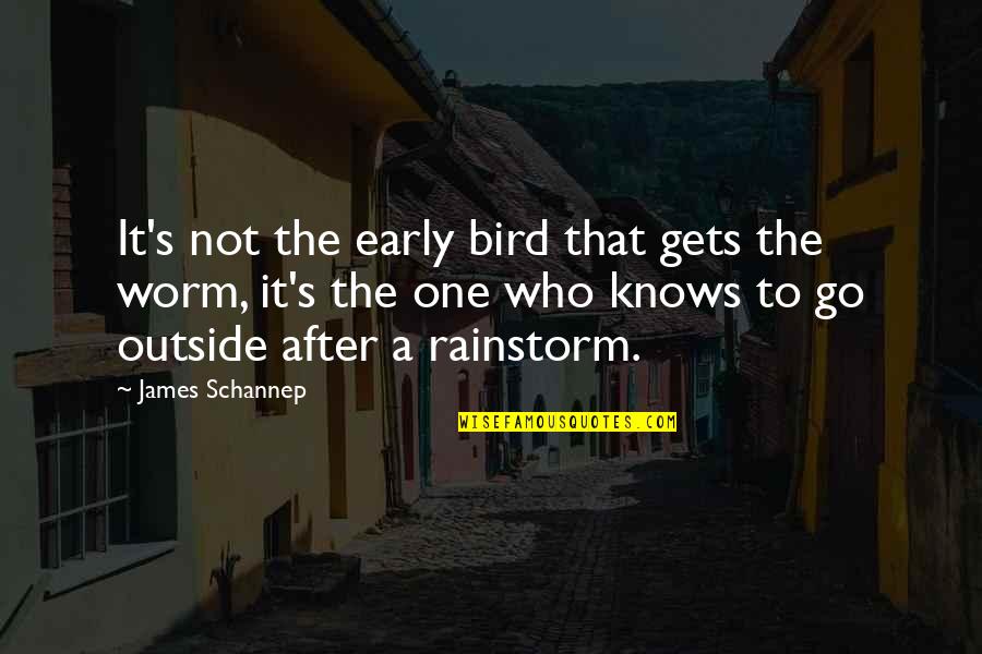 Depresszios Quotes By James Schannep: It's not the early bird that gets the