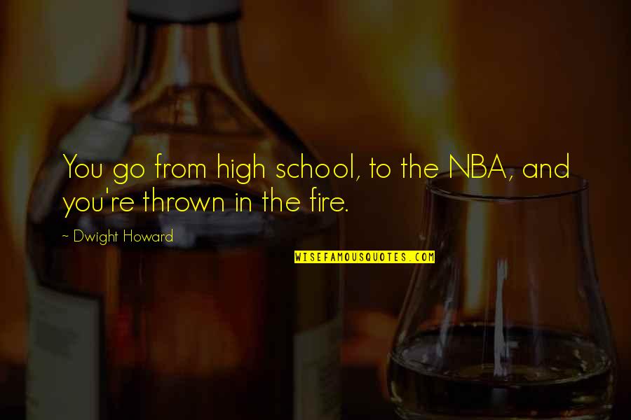Deprimida In English Quotes By Dwight Howard: You go from high school, to the NBA,