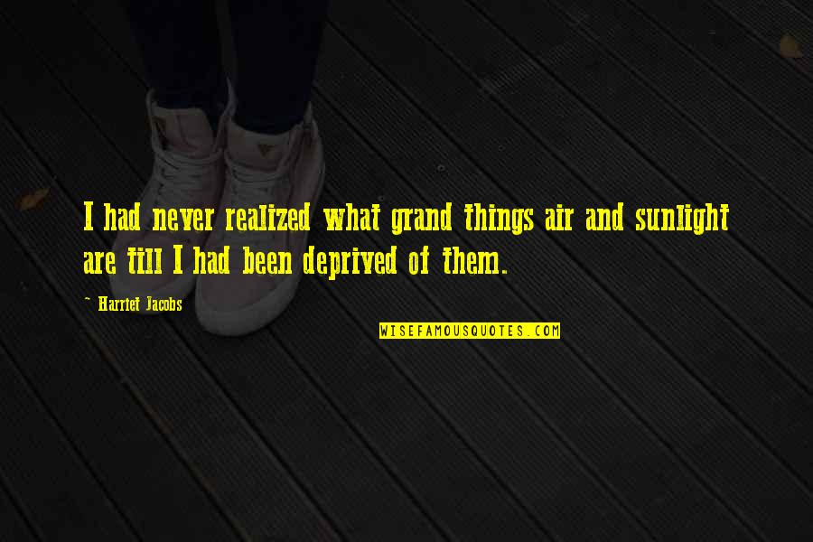 Deprived Quotes By Harriet Jacobs: I had never realized what grand things air