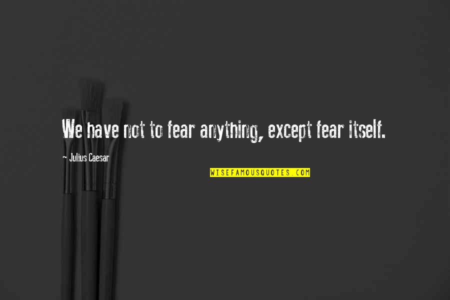 Deprogrammed Documentary Quotes By Julius Caesar: We have not to fear anything, except fear