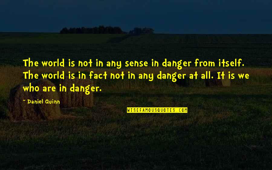 Depths Of My Soul Quotes By Daniel Quinn: The world is not in any sense in