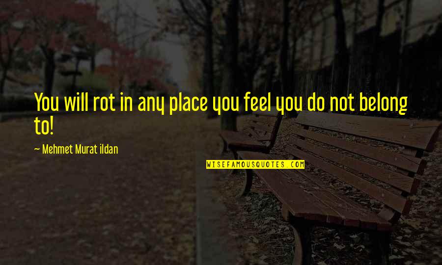 Depths Of My Soul Quotes By Mehmet Murat Ildan: You will rot in any place you feel
