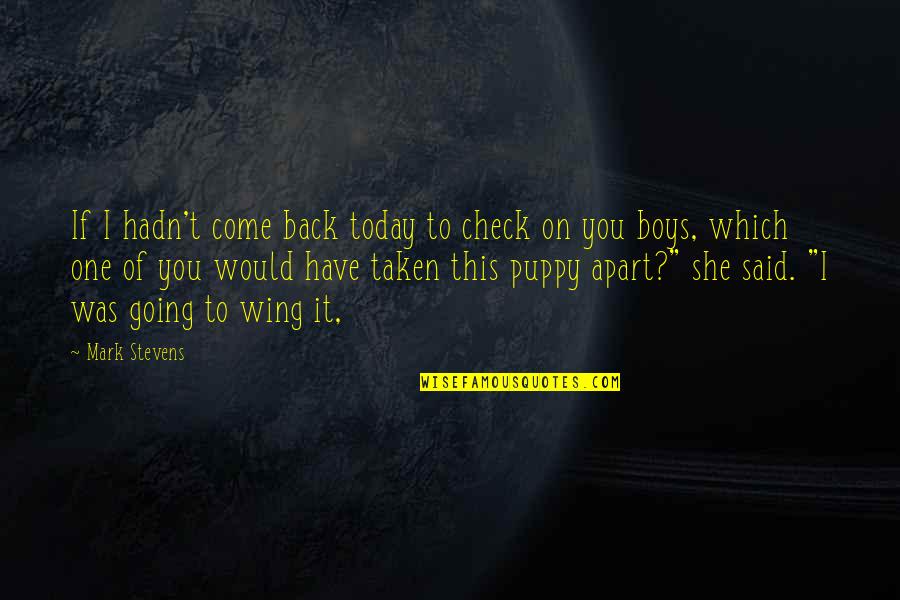 Deptula Enterprises Quotes By Mark Stevens: If I hadn't come back today to check