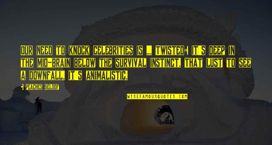 Depurando Definicion Quotes By Peaches Geldof: Our need to knock celebrities is ... Twisted: