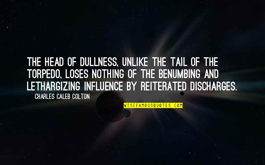 Deputy Governor Danforth Quotes By Charles Caleb Colton: The head of dullness, unlike the tail of Deputy Governor Danforth Quotes By Charles Caleb Colton: The head of dullness, unlike the tail of