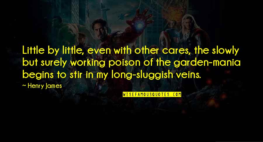 Deputy Parrish Quotes By Henry James: Little by little, even with other cares, the Deputy Parrish Quotes By Henry James: Little by little, even with other cares, the