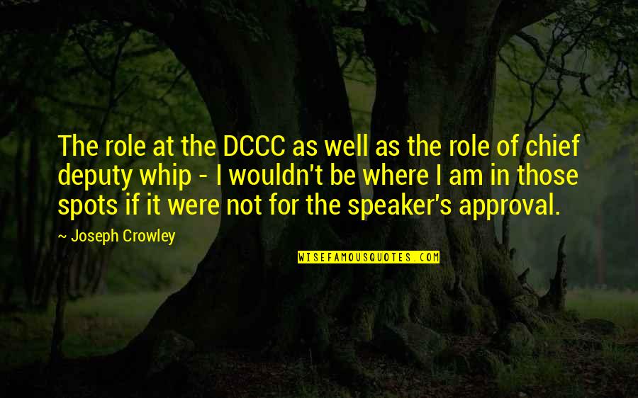 Deputy Quotes By Joseph Crowley: The role at the DCCC as well as