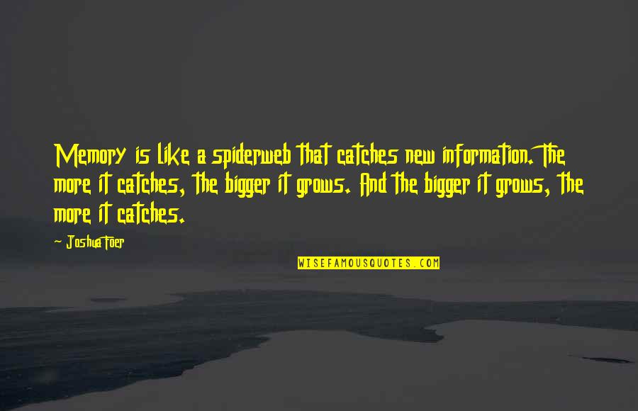 Deracinated Quotes By Joshua Foer: Memory is like a spiderweb that catches new Deracinated Quotes By Joshua Foer: Memory is like a spiderweb that catches new