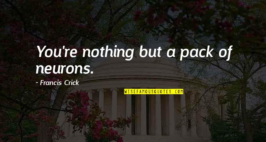 Deragement Quotes By Francis Crick: You're nothing but a pack of neurons.