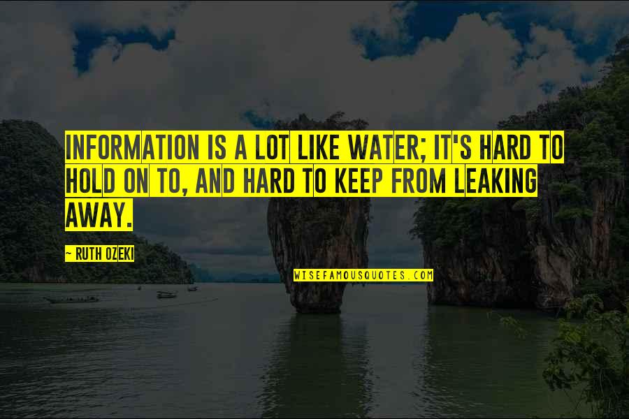 Derain Quotes By Ruth Ozeki: Information is a lot like water; it's hard
