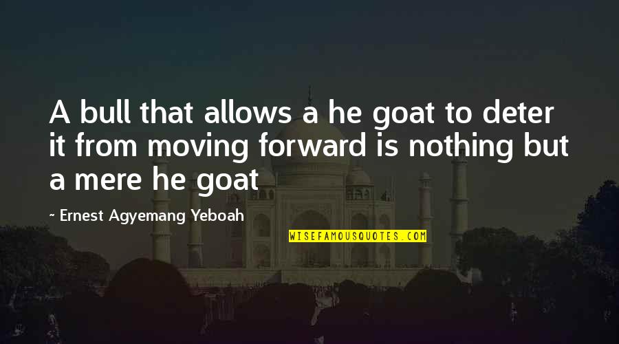 Derecho A La Quotes By Ernest Agyemang Yeboah: A bull that allows a he goat to Derecho A La Quotes By Ernest Agyemang Yeboah: A bull that allows a he goat to