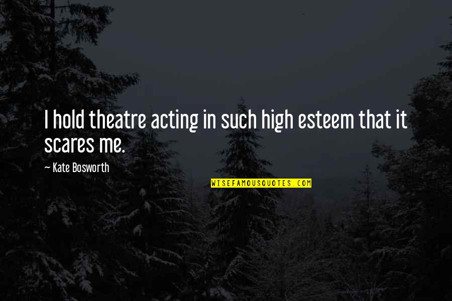 Derek Hess Quotes By Kate Bosworth: I hold theatre acting in such high esteem Derek Hess Quotes By Kate Bosworth: I hold theatre acting in such high esteem