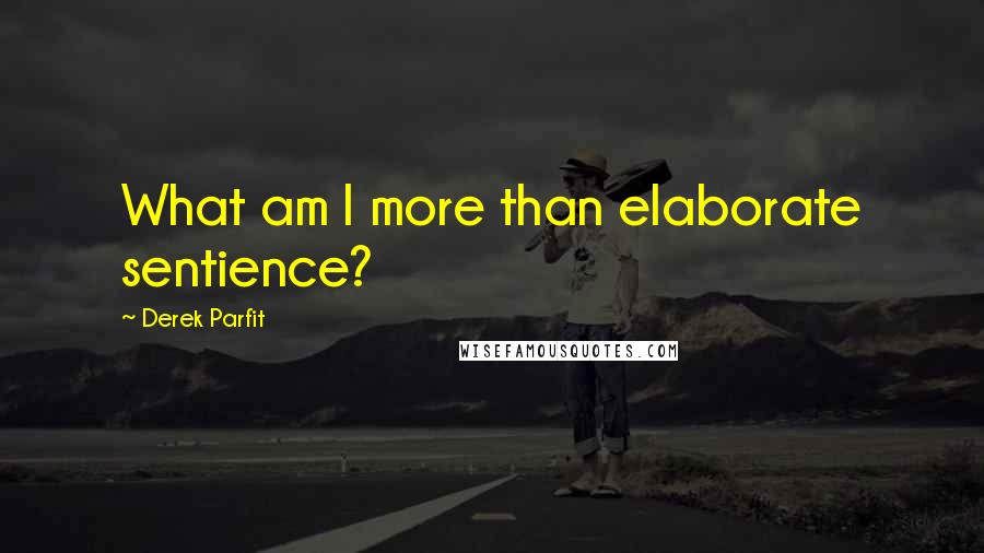 Derek Parfit quotes: What am I more than elaborate sentience?