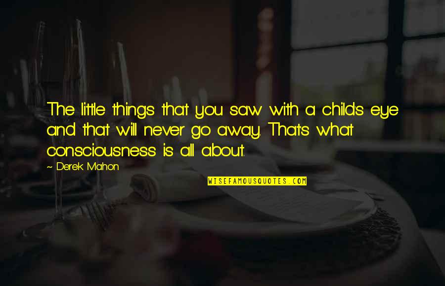 Derek's Quotes By Derek Mahon: The little things that you saw with a Derek's Quotes By Derek Mahon: The little things that you saw with a