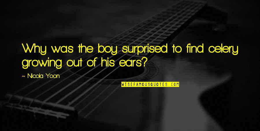 Dericksons Quotes By Nicola Yoon: Why was the boy surprised to find celery