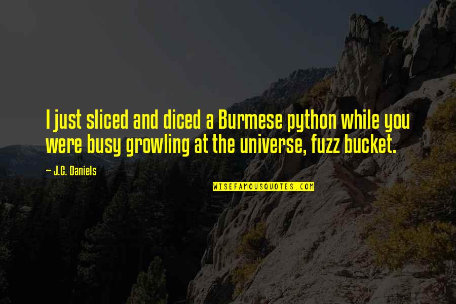 Derides Pronunciation Quotes By J.C. Daniels: I just sliced and diced a Burmese python Derides Pronunciation Quotes By J.C. Daniels: I just sliced and diced a Burmese python