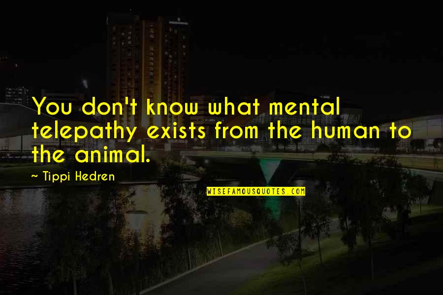Derimod Schuhe Quotes By Tippi Hedren: You don't know what mental telepathy exists from