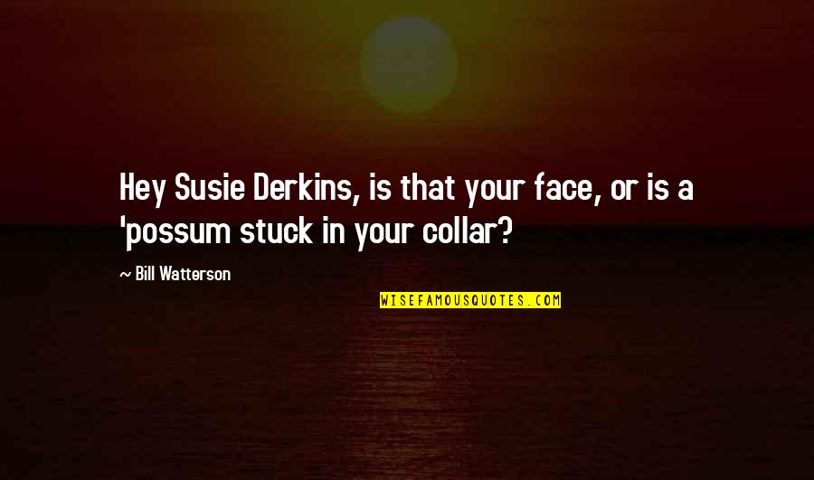 Derkins Quotes By Bill Watterson: Hey Susie Derkins, is that your face, or