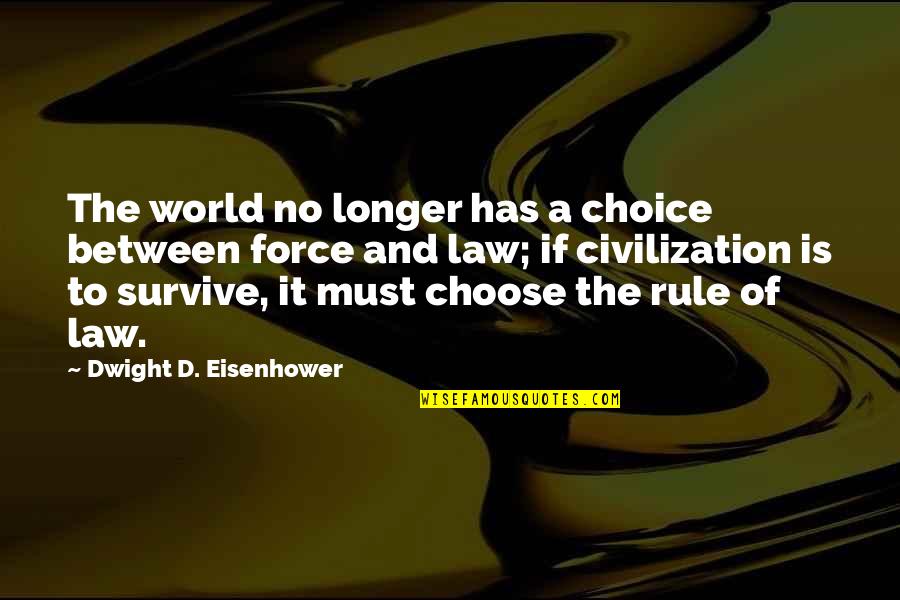 Dermaphoria Quotes By Dwight D. Eisenhower: The world no longer has a choice between