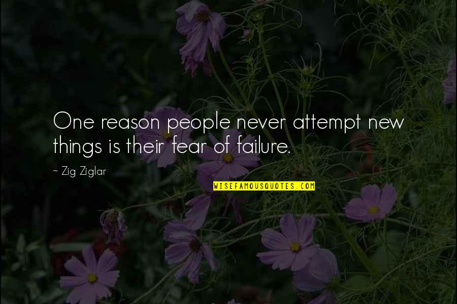 Dermott Quotes By Zig Ziglar: One reason people never attempt new things is