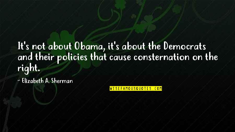 Derouard Chrysler Quotes By Elizabeth A. Sherman: It's not about Obama, it's about the Democrats