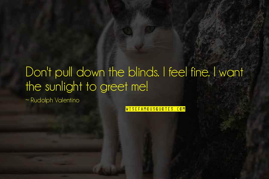 Derretido En Quotes By Rudolph Valentino: Don't pull down the blinds. I feel fine. Derretido En Quotes By Rudolph Valentino: Don't pull down the blinds. I feel fine.