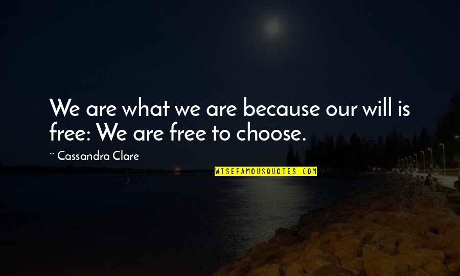 Derretir Definicion Quotes By Cassandra Clare: We are what we are because our will Derretir Definicion Quotes By Cassandra Clare: We are what we are because our will