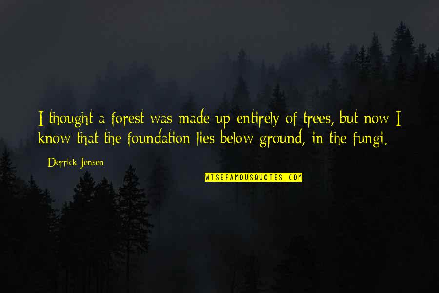 Derrick Jensen Quotes By Derrick Jensen: I thought a forest was made up entirely