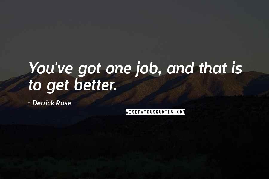 Derrick Rose quotes: You've got one job, and that is to get better.