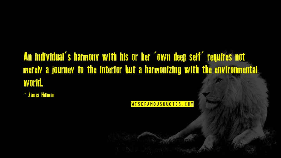Derrumbar Quotes By James Hillman: An individual's harmony with his or her 'own