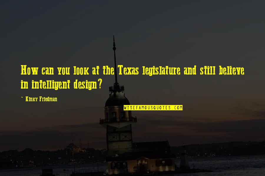 Deryle Hughes Quotes By Kinky Friedman: How can you look at the Texas legislature
