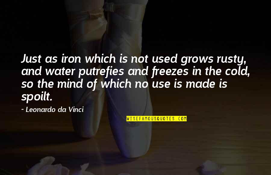 Desahogarme In English Quotes By Leonardo Da Vinci: Just as iron which is not used grows