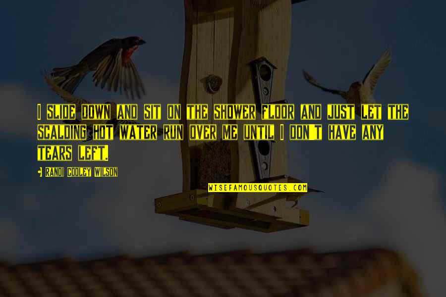 Desaparecimento Em Quotes By Randi Cooley Wilson: I slide down and sit on the shower