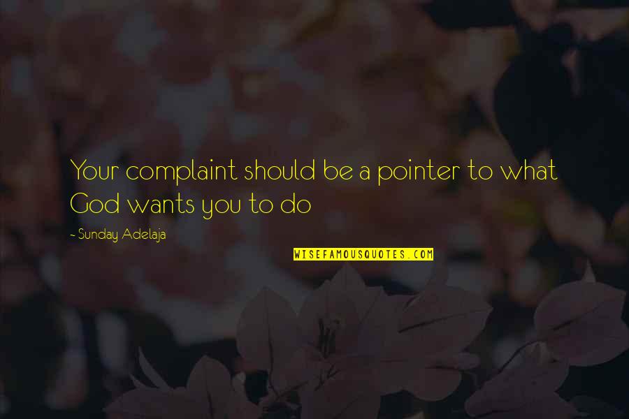 Desaree Vega Quotes By Sunday Adelaja: Your complaint should be a pointer to what Desaree Vega Quotes By Sunday Adelaja: Your complaint should be a pointer to what