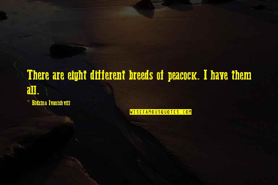 Desaret Quotes By Bidzina Ivanishvili: There are eight different breeds of peacock. I Desaret Quotes By Bidzina Ivanishvili: There are eight different breeds of peacock. I
