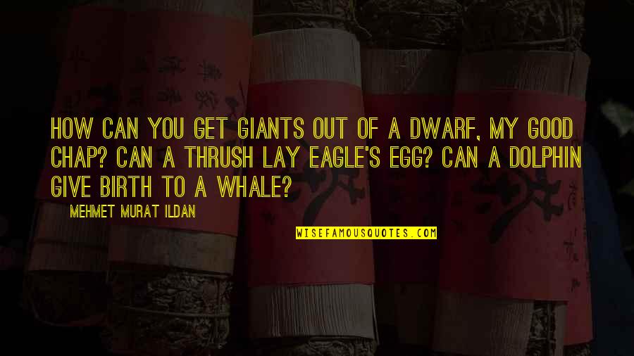 Desarme Significado Quotes By Mehmet Murat Ildan: How can you get giants out of a Desarme Significado Quotes By Mehmet Murat Ildan: How can you get giants out of a