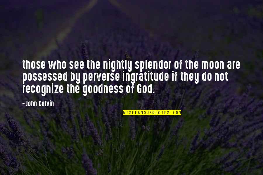 Desassossego Leandro Quotes By John Calvin: those who see the nightly splendor of the