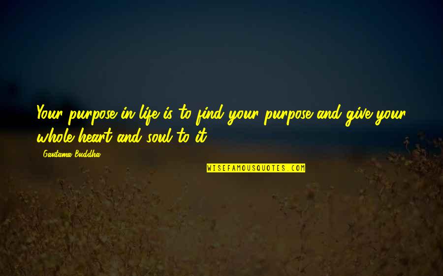 Descant Quotes By Gautama Buddha: Your purpose in life is to find your Descant Quotes By Gautama Buddha: Your purpose in life is to find your