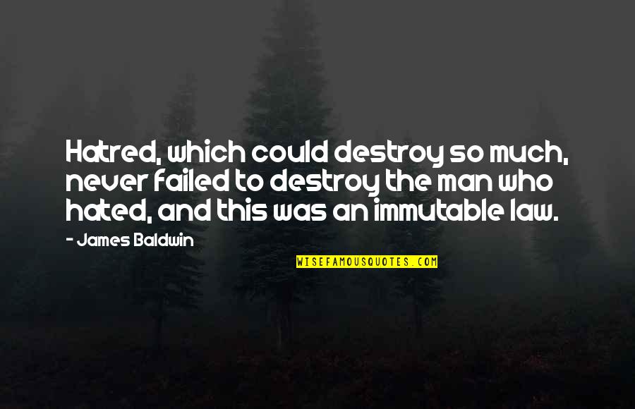 Descartes Skepticism Quotes By James Baldwin: Hatred, which could destroy so much, never failed Descartes Skepticism Quotes By James Baldwin: Hatred, which could destroy so much, never failed