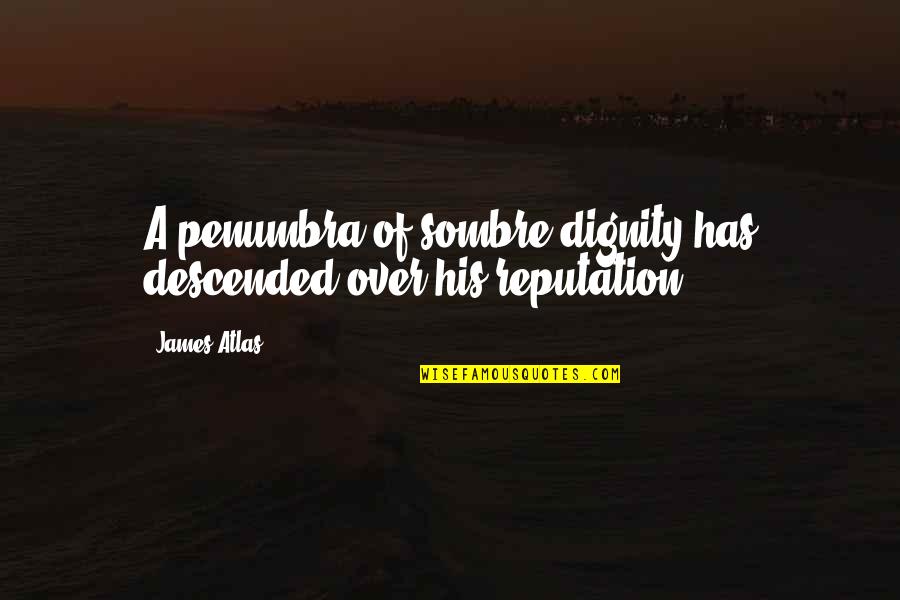Descended Quotes By James Atlas: A penumbra of sombre dignity has descended over