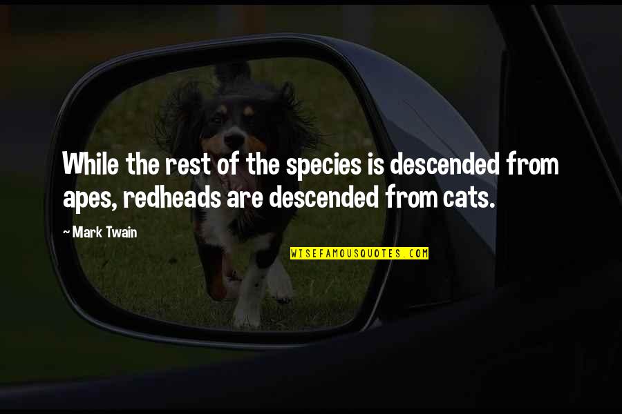 Descended Quotes By Mark Twain: While the rest of the species is descended