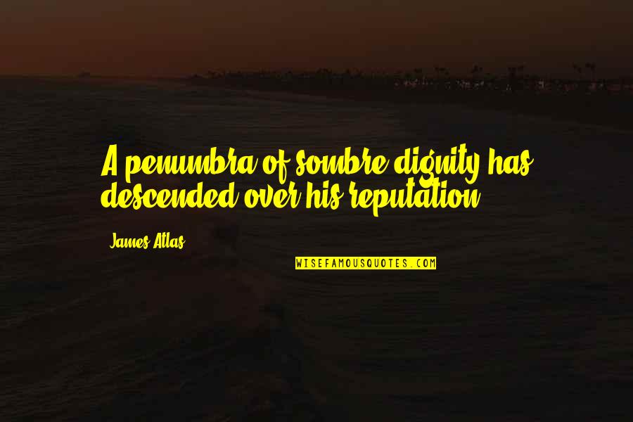 Descended Upon Quotes By James Atlas: A penumbra of sombre dignity has descended over
