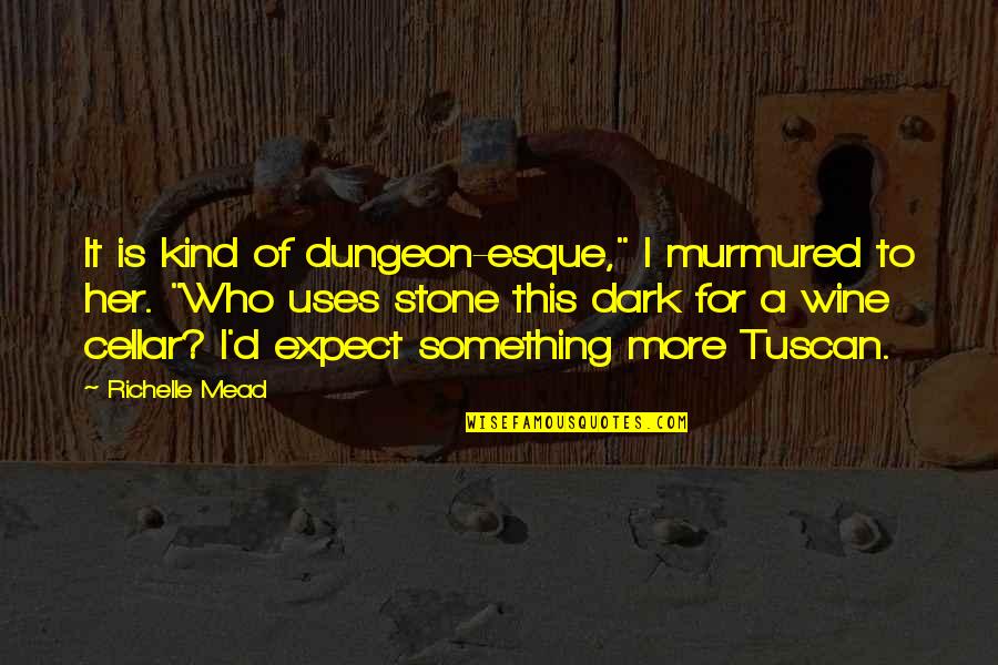 Descenders Pc Quotes By Richelle Mead: It is kind of dungeon-esque," I murmured to