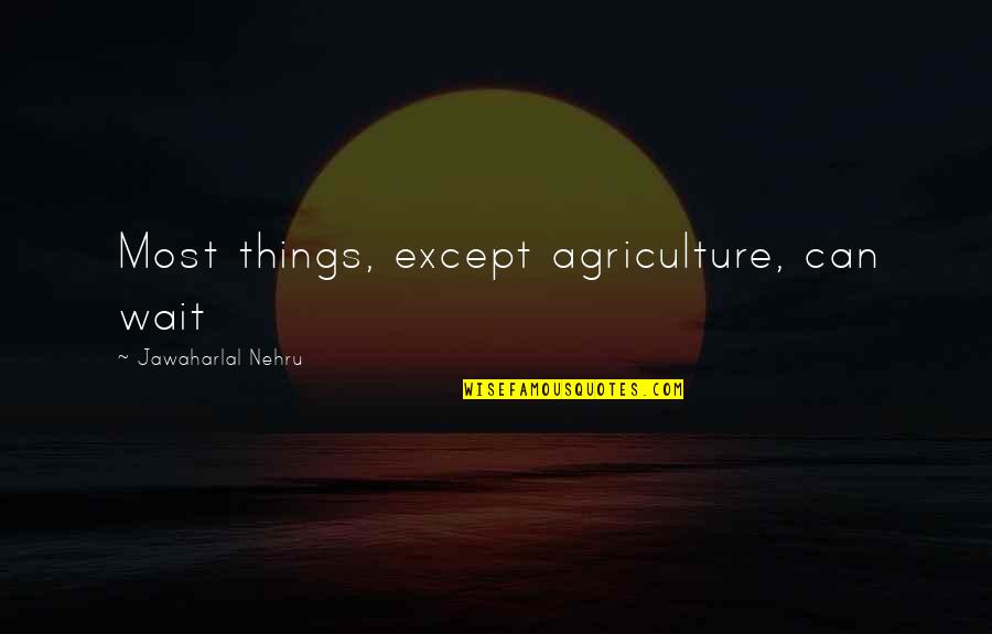 Descendunt Quotes By Jawaharlal Nehru: Most things, except agriculture, can wait