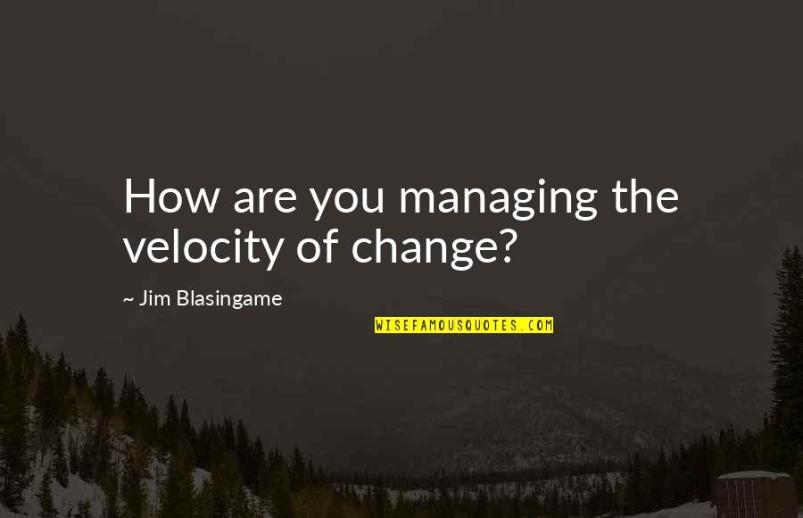 Descent Of Man Quotes By Jim Blasingame: How are you managing the velocity of change?