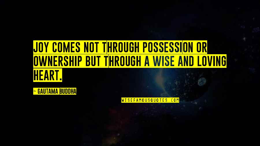 Descheemaeker Quotes By Gautama Buddha: Joy comes not through possession or ownership but