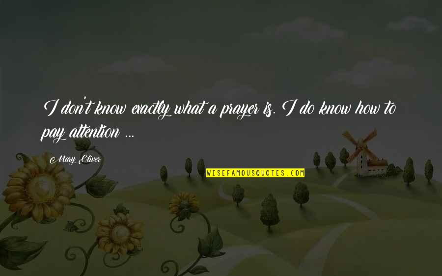 Deschooling Our Lives Quotes By Mary Oliver: I don't know exactly what a prayer is.