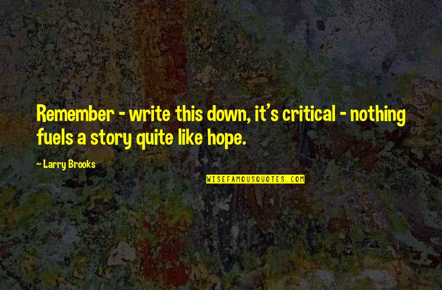 Desconsuelo In English Quotes By Larry Brooks: Remember - write this down, it's critical -
