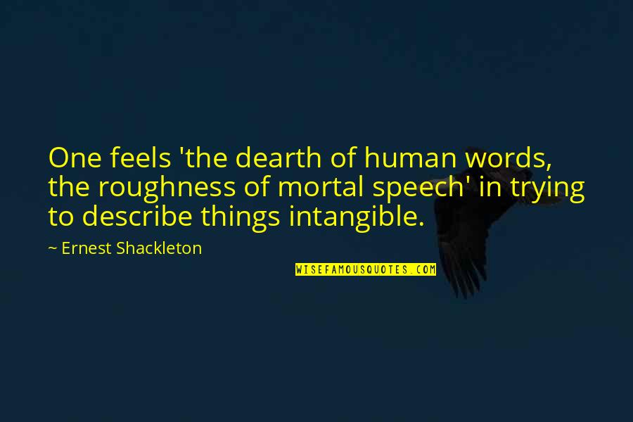 Describe Other Words Quotes By Ernest Shackleton: One feels 'the dearth of human words, the