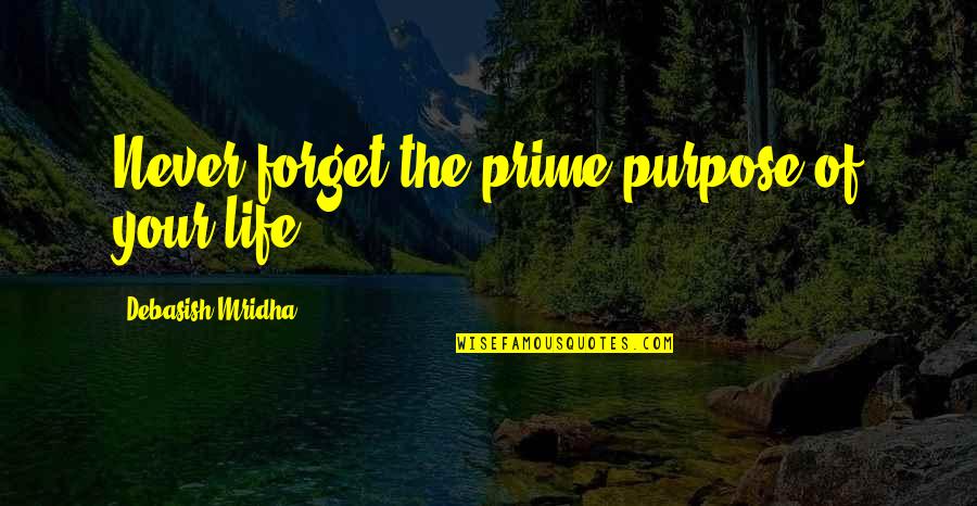 Describe The Feeling Of Love Quotes By Debasish Mridha: Never forget the prime purpose of your life.